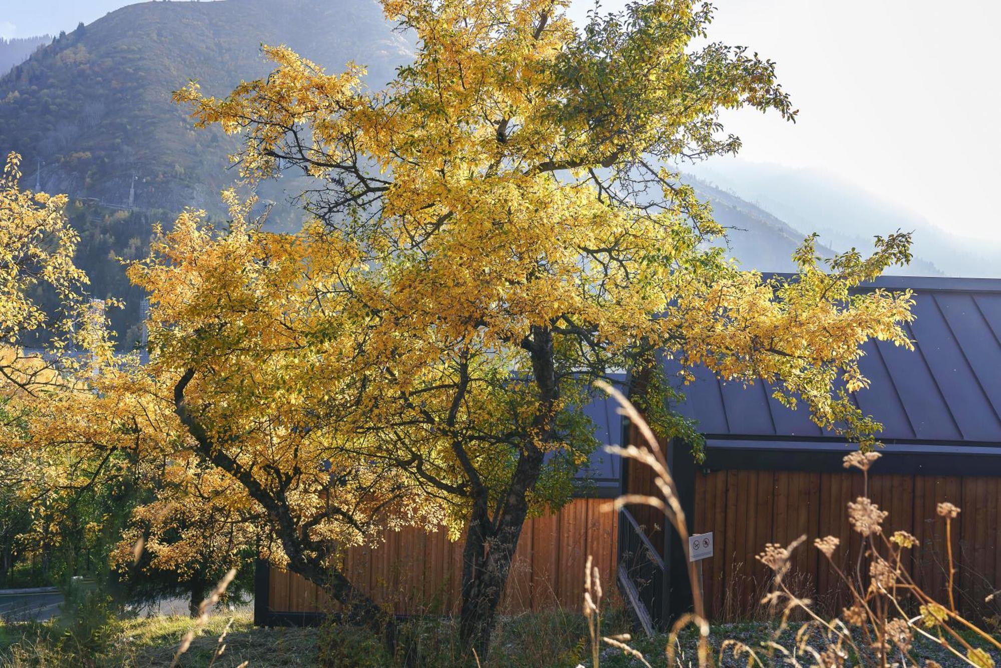 Qazaq Auyl Eco Hotel Almaty Exteriér fotografie